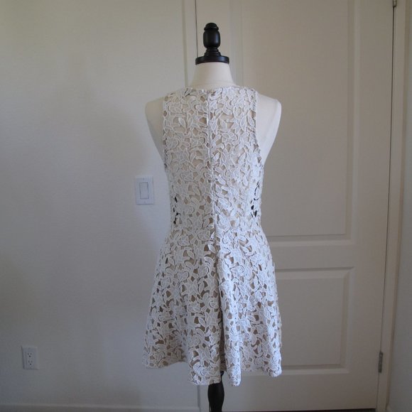TOBI Nude White Lace Skater Dress - Picture 5 of 15